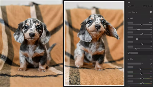 Adobe Lightroom mobile4