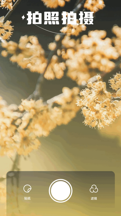 繁花漫画官方正版截图