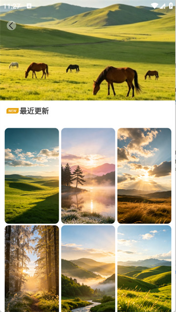 萤火虫壁纸主题商店app最新版