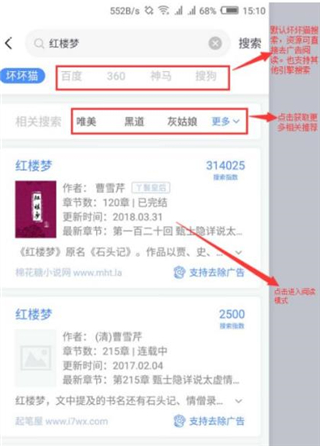 坏坏猫小说免费版