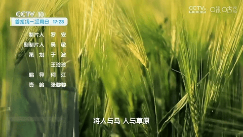 沉鱼落雁TV2023最新版