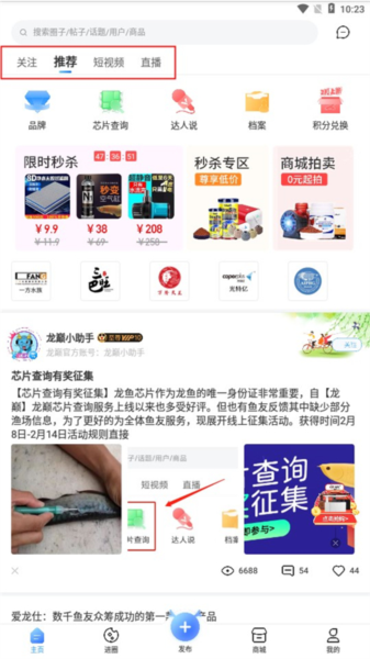 龙巅5