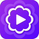 汀兰视频app正版