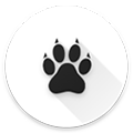 amarok v0.9.3