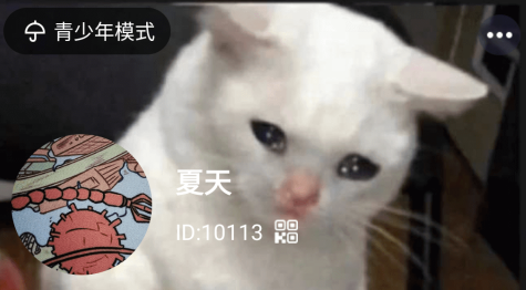 哎鸭播app最新版下载