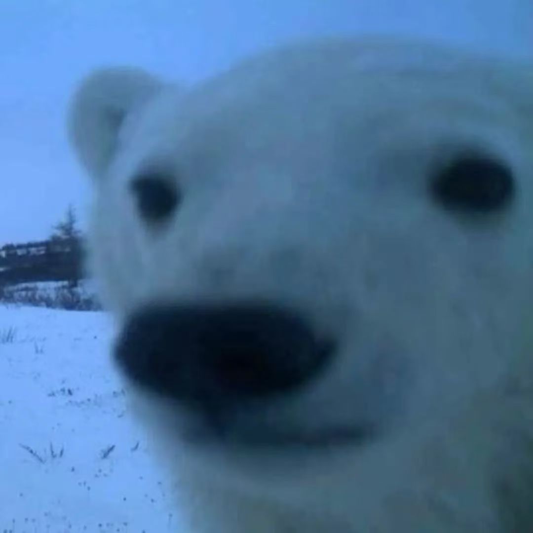 小布换源官方版 1.7.5安卓版