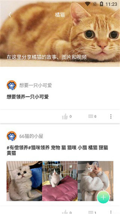 握爪云养