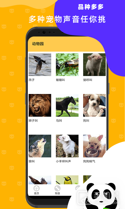 猫狗翻译神器 v3.3