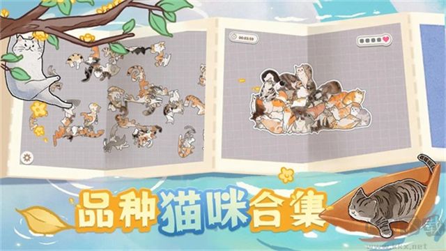 挤在一起的猫猫无限金币版 v1.16安卓版 