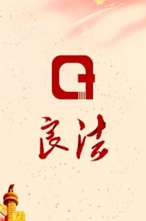 良法 v1.0.8安卓版下载
