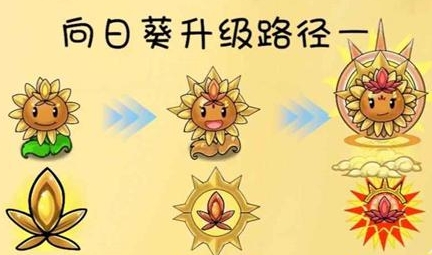 植物大战僵尸共生版内置菜单