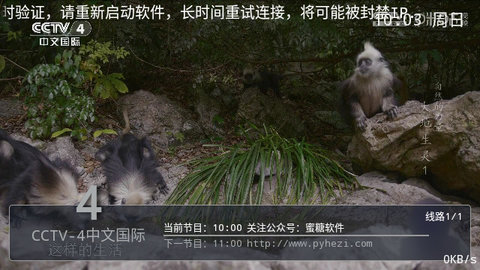 Pn播放器TV电视版