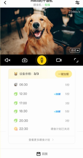 宠陪陪