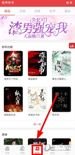 看小说听书