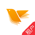 蜂鸟采编租户版app v5.3.3