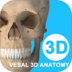 维萨里3D解剖app安卓版 v6.8.0下载