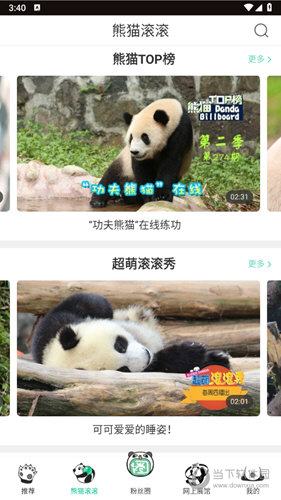 熊猫滚滚栏目