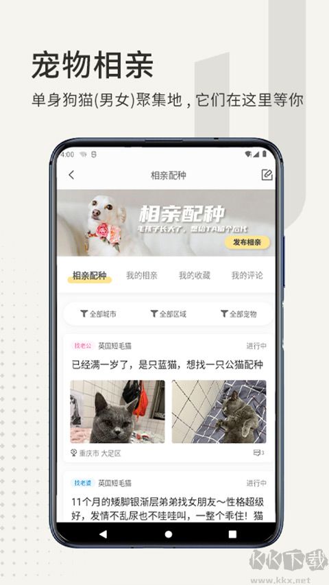 Сapp2025ƶͻ°氲װv7.2.0׿