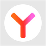 Yandex浏览器下载  v25.4.6.49