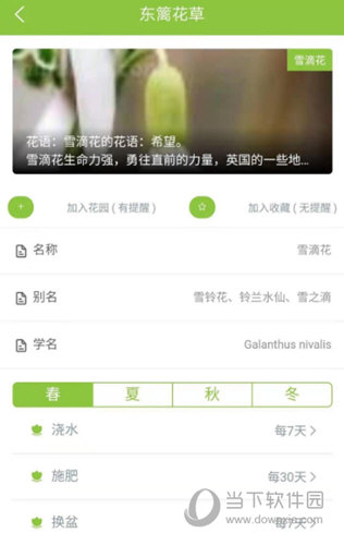 东篱花草APP
