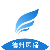 德州医保  V2.13.3.3下载