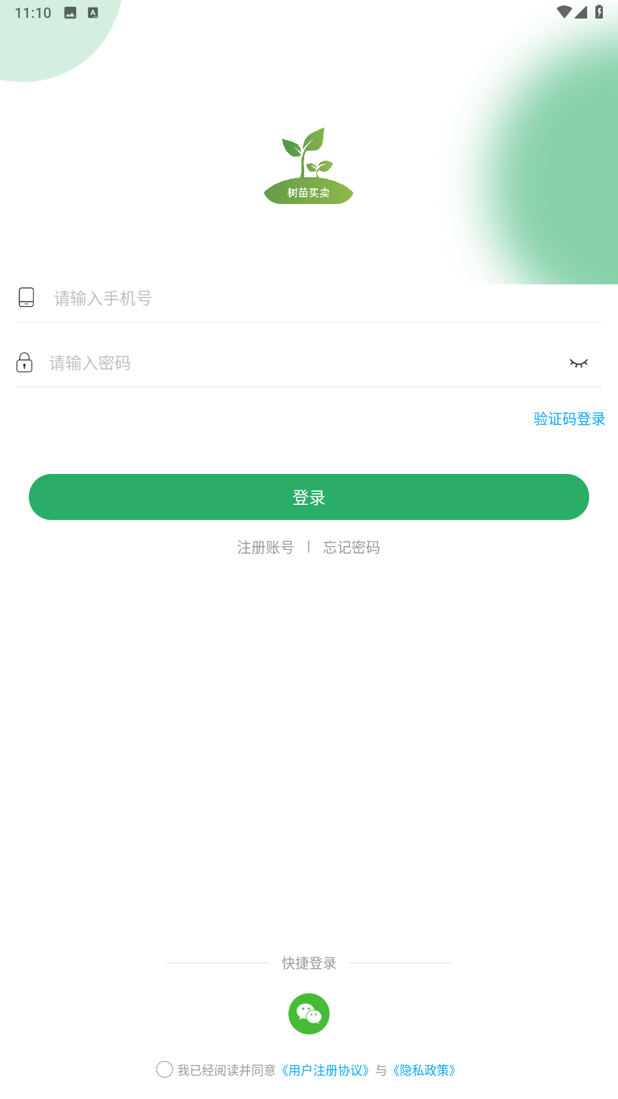 苗木嘉