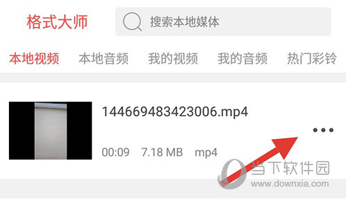 格式大师本地视频