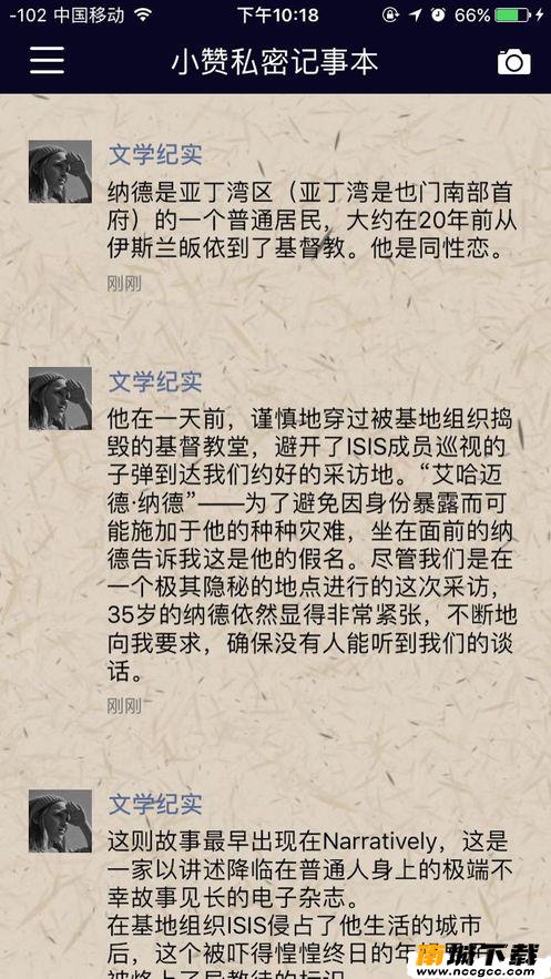预览图2