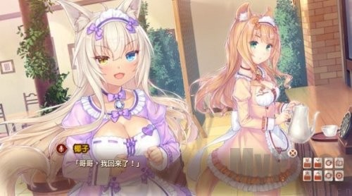 猫娘乐园4