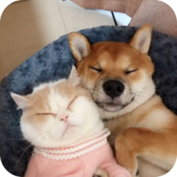 Ȥèװֻ