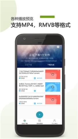 预览图2