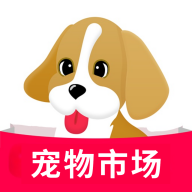 宠物市场2025最新版