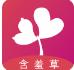 含羞草免费影视精品直播在线APP