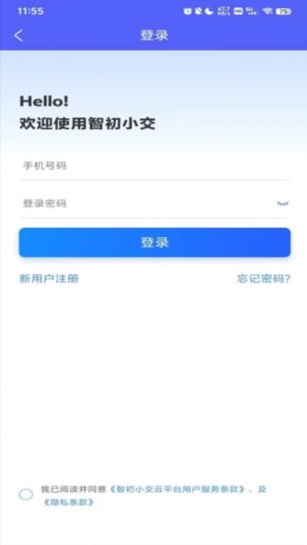 智初小交4