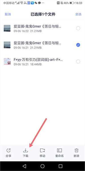 下载文件教程4
