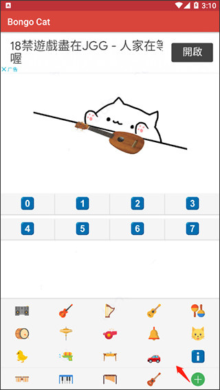 bongo cat