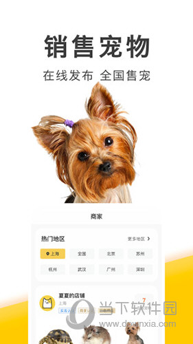买只宠物