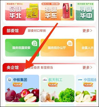 央企消费扶贫电商平台11