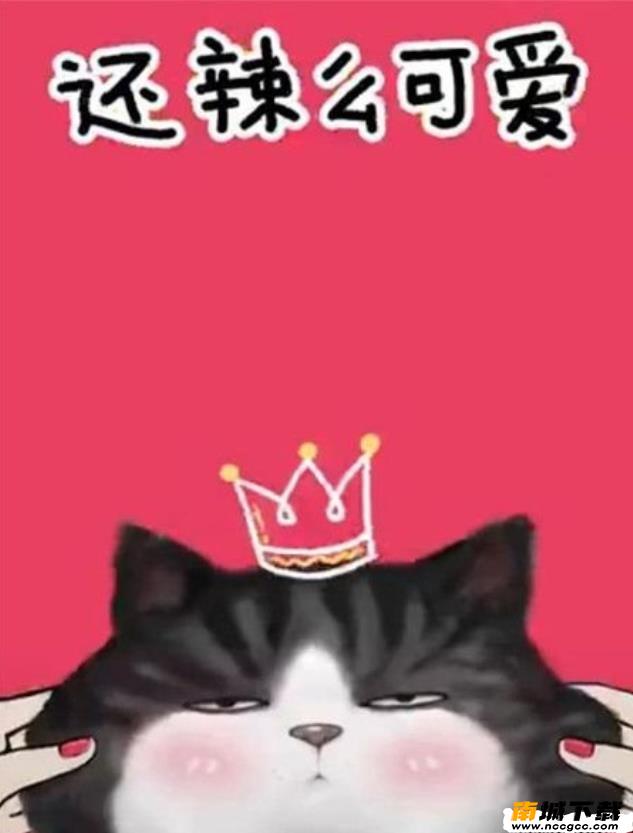 我们喵星人就是辣么拽我们喵星人就是这么帅歌名歌词图片1