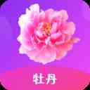 牡丹直播