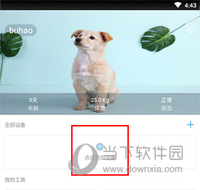 小佩宠物怎么连接