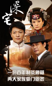风行视频3.9版 v3.9免费下载