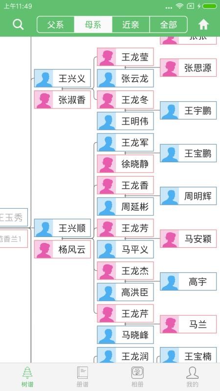 族记