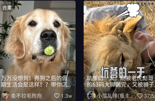 抖音车机版apk安装包