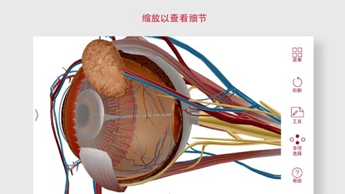 解剖和生理学安卓版 v6.2.00