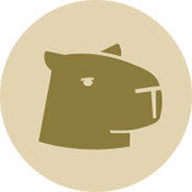 RSSĶ(Capy Reader)װ׿2025