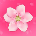 桃花在线观看免费播放app