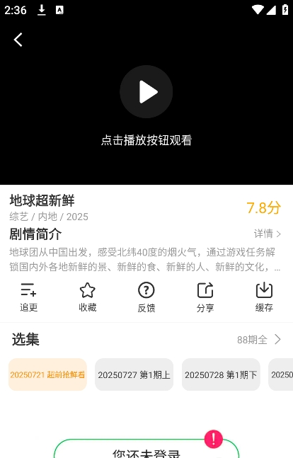 冬青影评官方正版