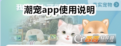 潮寵app下載安裝最新版