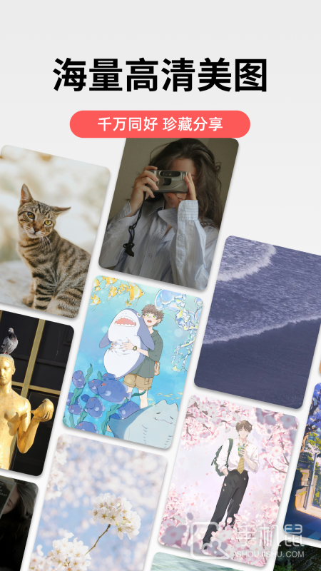 堆糖 v8.59.1